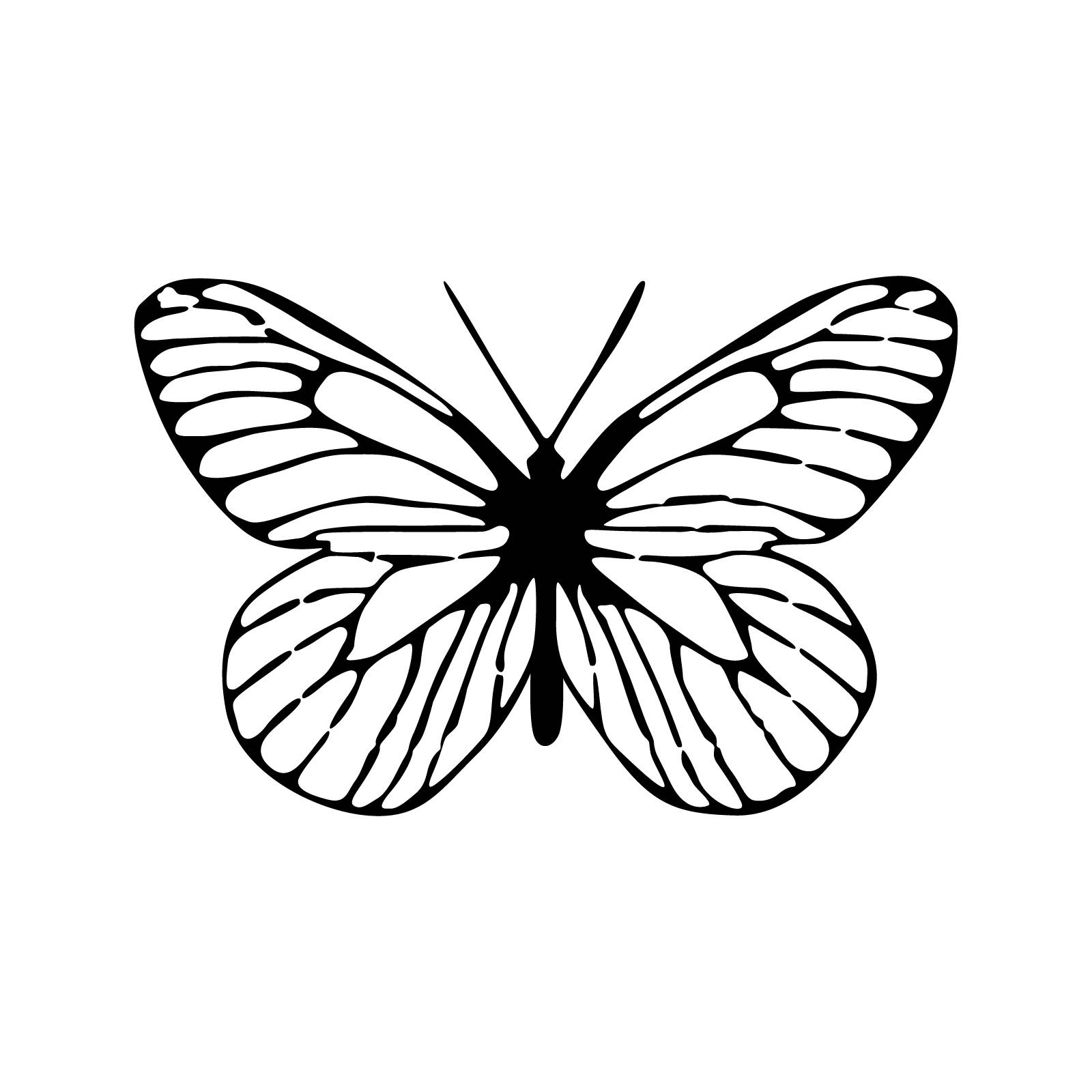 Common_Buckeye-June