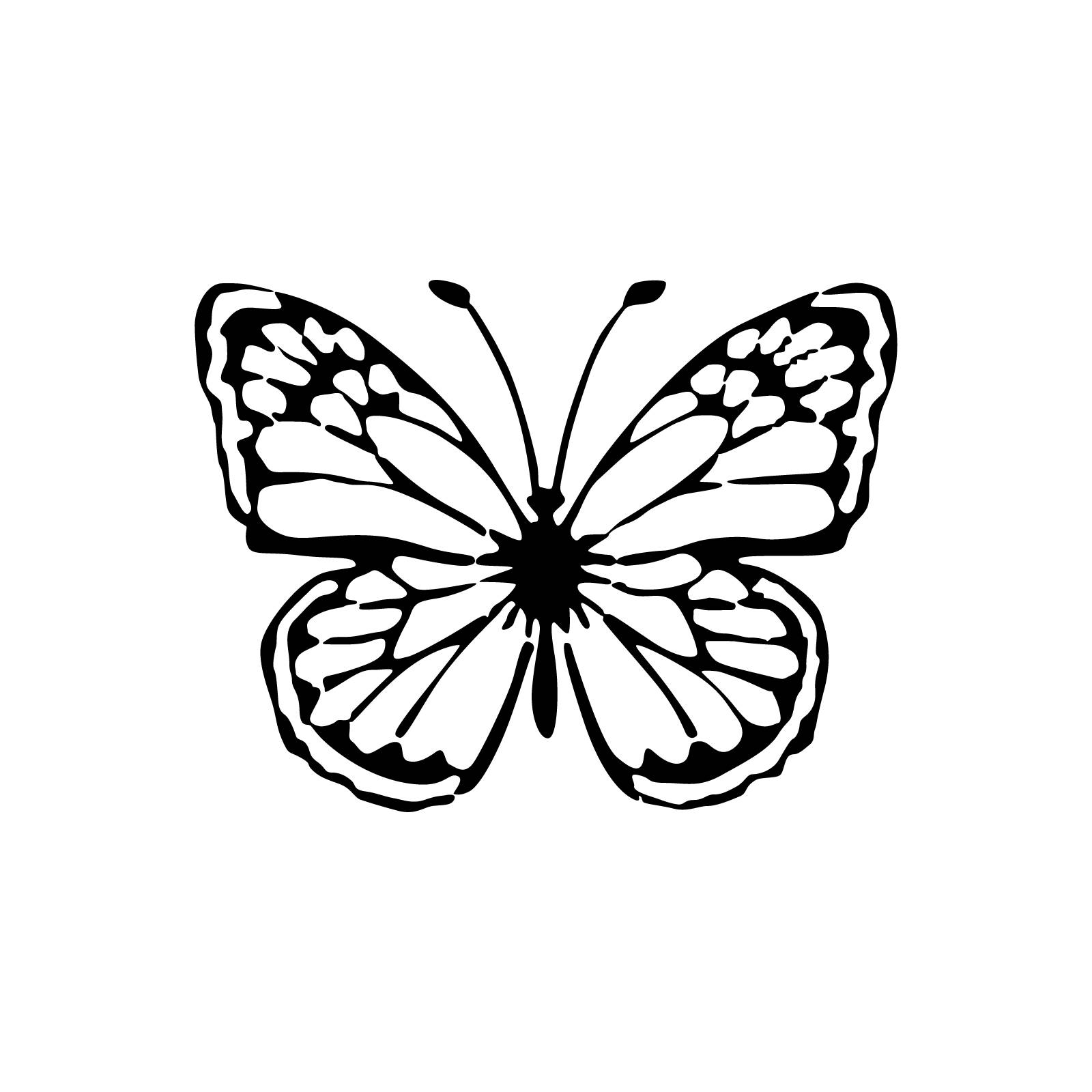 Great_Spangled_Fritillary-Jul