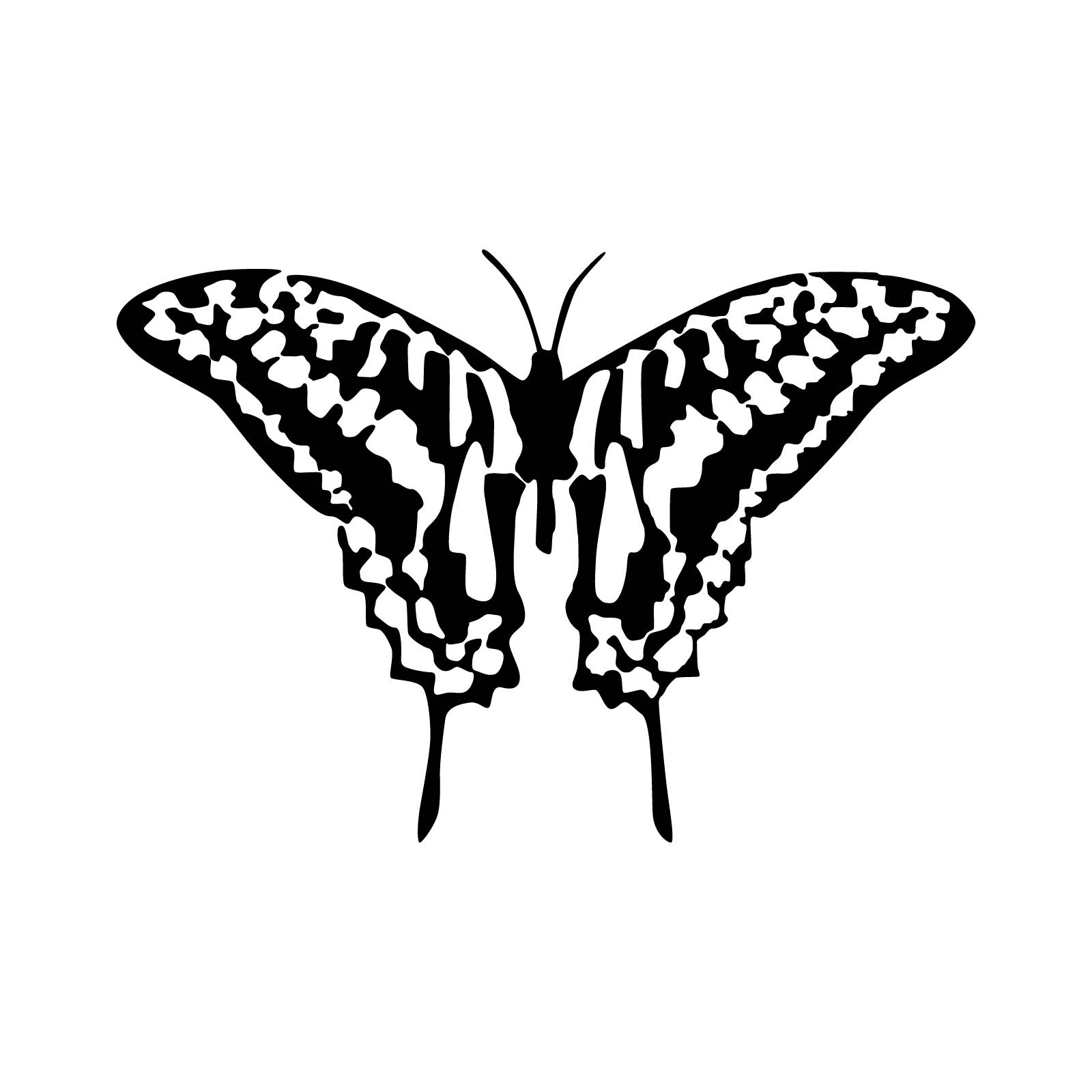 Mourning_Cloak-Jan