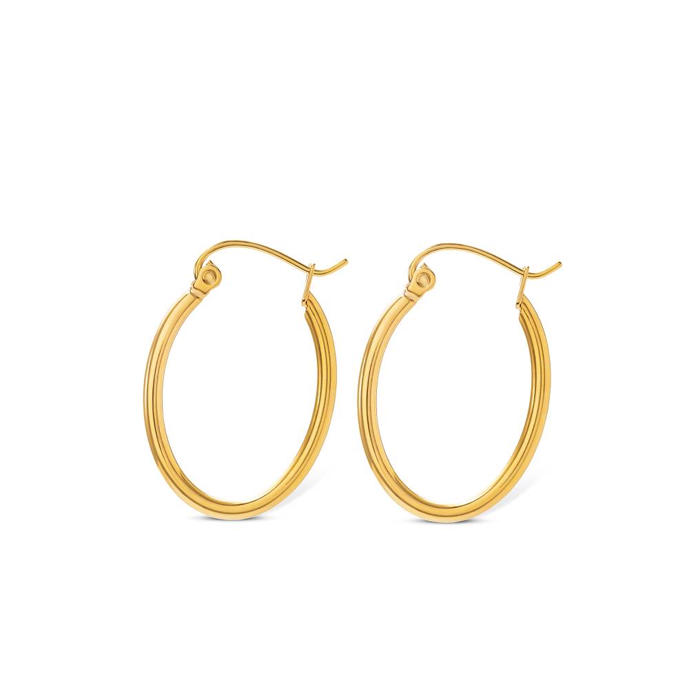 Alessia Classic Hoop Earrings in Gold PVD Plating-1 product photo