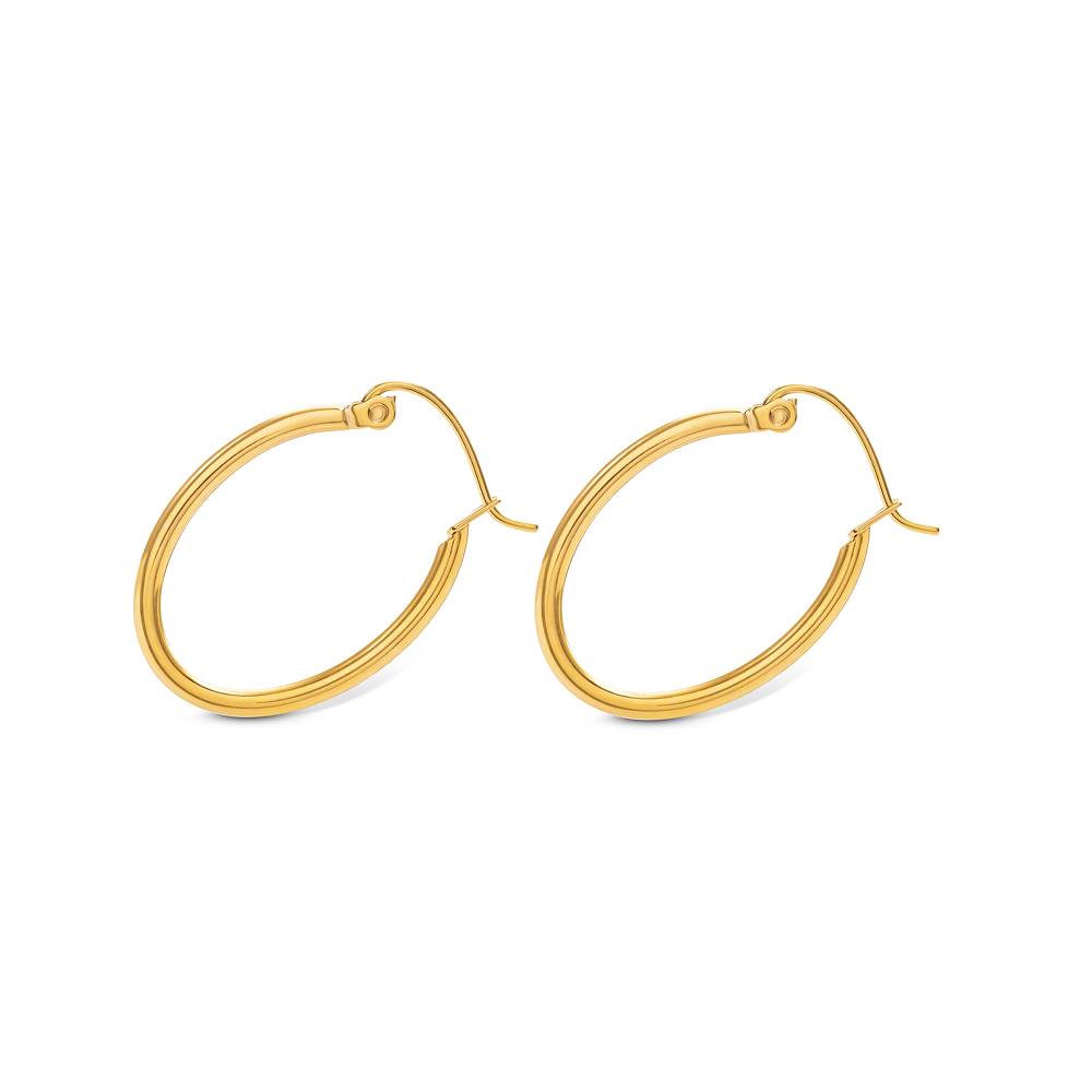 Alessia Classic Hoop Earrings in Gold PVD Plating-3 product photo