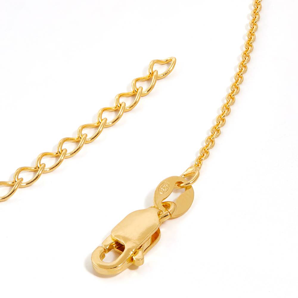 Bianca Teardrop Necklace with 0.20CT Diamond in 18K Gold Vermeil-3 product photo