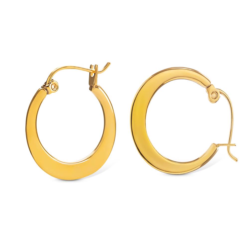 Cleo Crescent Hoop Earrings in Gold PVD Plating-3 product photo
