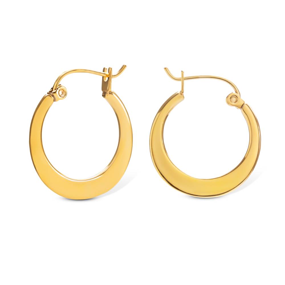 Cleo Crescent Hoop Earrings in Gold PVD Plating-1 product photo