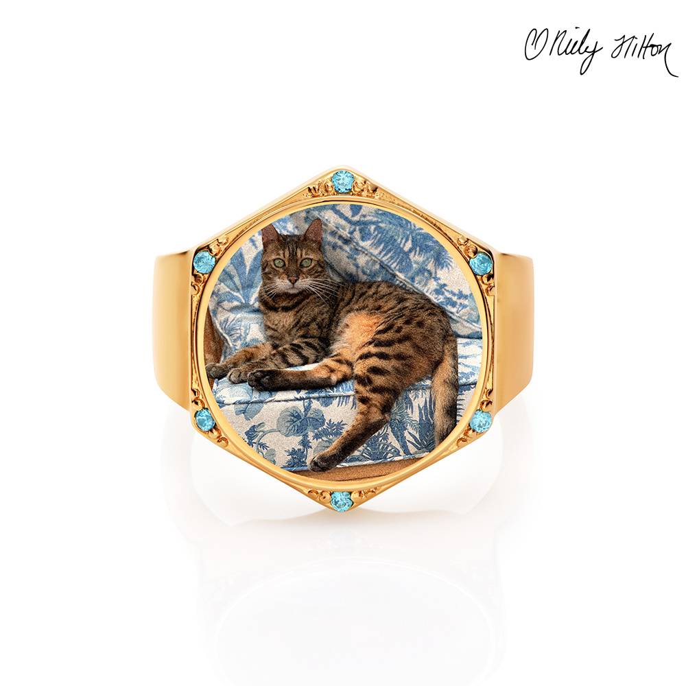 Coco Hexagon Ring in Gold Finish-2 Coco Hexagon Ring in Gold Finish-2 product photo