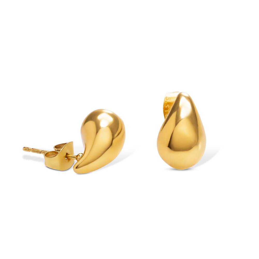 Gigi Mini Drop Earrings in Gold PVD Plating-1 product photo