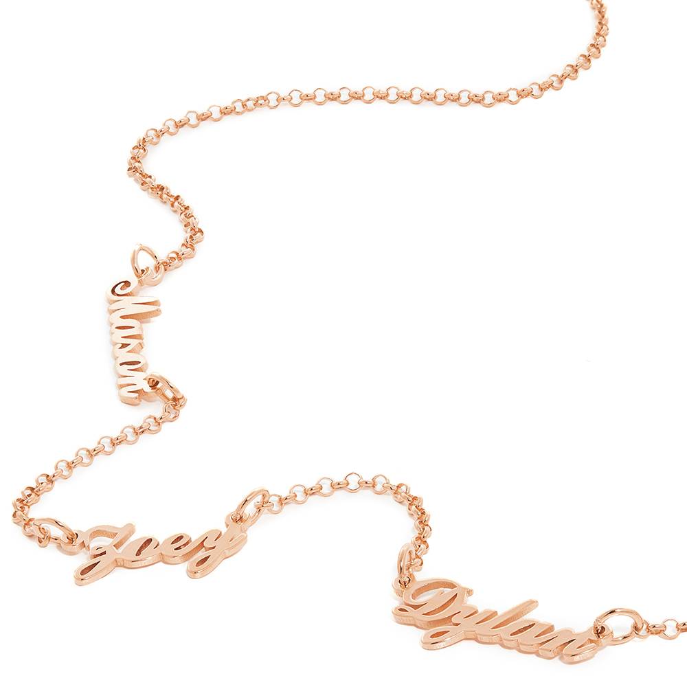 Last Minute Pack "Heritage Multiple Name Necklace in Rose Gold Plating"-1 product photo