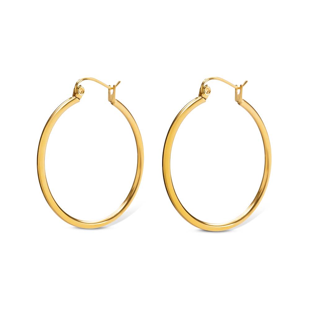 Romy Classic Hoop Earrings in Gold PVD Plating-1 product photo