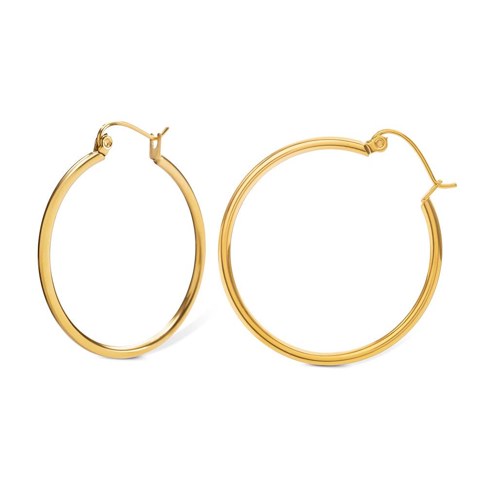 Romy Classic Hoop Earrings in Gold PVD Plating-3 product photo