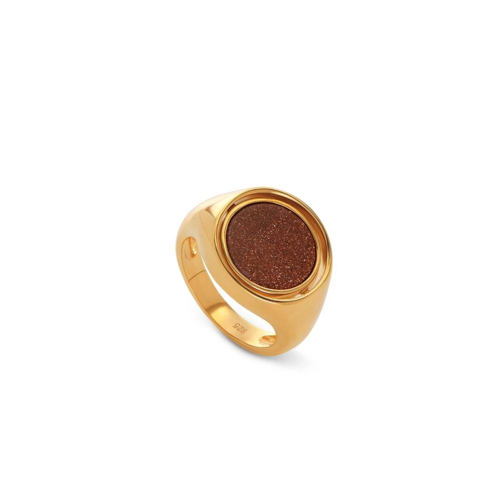 Wishing Star Spinner Signet Ring in Vermeil-4 Wishing Star Spinner Signet Ring in Vermeil-4 product photo