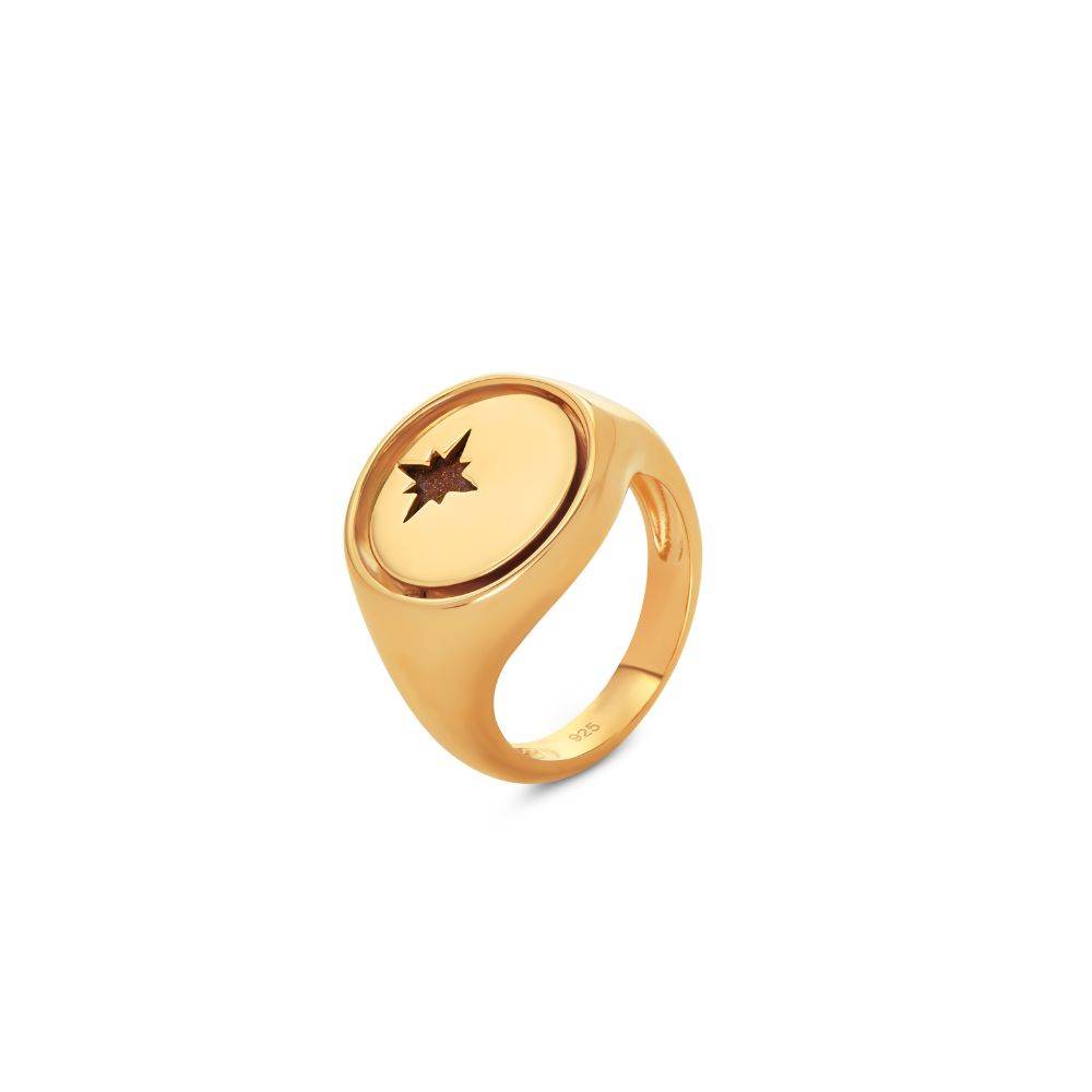 Wishing Star Spinner Signet Ring in Vermeil-1 Wishing Star Spinner Signet Ring in Vermeil-1 product photo